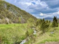 Little river at mountain Zlatibor Royalty Free Stock Photo