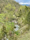 Little river at mountain Zlatibor Royalty Free Stock Photo