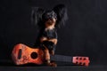 Little romantic musical dog troubadour with a guitar