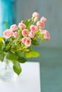 Little rose flowers on a white wooden table