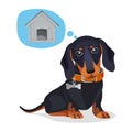 Little sad puppy thinks about big wooden doghouse Royalty Free Stock Photo