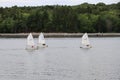 Little sailboats racing in the northwest arm in Halifax