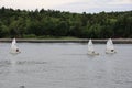 Little sailboats racing in the northwest arm in Halifax