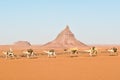 A little caravan of dromedaries on their way crossing the desert of the Sahara