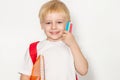 Little schoolboy on a light background