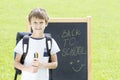 Little schoolboy with pens and backpack against the blackboard. Education, Back to school concept Royalty Free Stock Photo