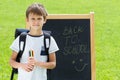 Little schoolboy with pens and backpack against the blackboard. Education, back to school concept Royalty Free Stock Photo