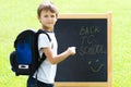 Little schoolboy writting on blackboard. Education, Back to school concept Royalty Free Stock Photo