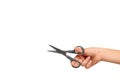 Little scissors for kids. Preschool education supply