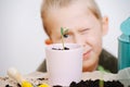 Little seedling in a cup in front of an unfocused blond boy's face Royalty Free Stock Photo