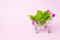 Little shopping cart with salad leaves on a pink paper background Shopping, purchases, supermarket, sale, mall concept. Grocery Royalty Free Stock Photo