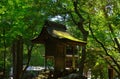 Little shrine in woods, Kyoto Japan.