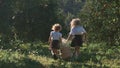 Little sisters carry white flowers in basket in the orange garden