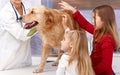 Little sisters and dog at veterinary surgeon