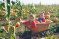 Happy girls sitting inside wheelbarrow at field pumpkin patch Royalty Free Stock Photo