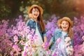 Little sisters outdoor portrait in a pink meadow