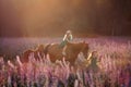 Little sisters walking with horse in a pink meadow
