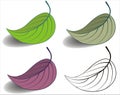 Leaf set Royalty Free Stock Photo