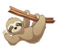 Little Sloth Cartoon Animal Illustration