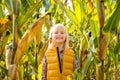 Little smiling blond kid staying in a corn field on farm