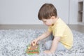 Little smiling boy is sitting on a fluffy carpet and plays with wooden carrots and rabbits on a playing field Royalty Free Stock Photo