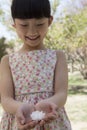 Little smiling girl looking down at a cherry blossom in her cupped hands in a park in springtime