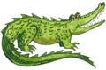 Little smiling green crocodile. (Cartoon style)