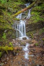 Little Smoky Mountain Waterfall in Spring Royalty Free Stock Photo