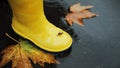 Little snail on yellow rubber boots in puddle after raining.