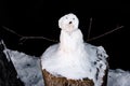 Childrens work - a little snow man with branches on a tree stump