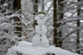 Little snowman looking like a forest goblin with a spruce twig in place of hair. he has ears and a devilish expression in the midd