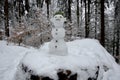 Little snowman looking like a forest goblin with a spruce twig in place of hair. he has ears and a devilish expression in the midd