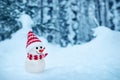 Little snowman on soft snow in the forest