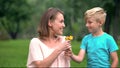 Little son gives flowers to mother, pleasant surprise, relaxation outdoors