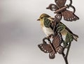 A little Songbird sits on a metal decoration.