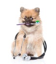 Little spitz puppy puppy with a toothbrush and stethoscope. isolated on white