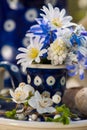 Little spring flowers in a eggcup