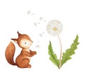 Little Squirrel Clipart, Dandelion Watercolor Illustration