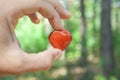 Little stone toy heart shape in man& x27;s hand on forest background Royalty Free Stock Photo