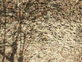 LITTLE STONE WALL, DISTRESSED STONES, TEXTURE