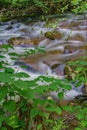 Little Stony Creek in the Jefferson National Forest, USA Royalty Free Stock Photo