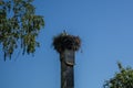 Little stork sitting in the nest on tall old chimney.