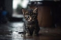 Little stray abandoned kitten, hungry, shivering and wet, sitting alone in cold rain. Generative AI