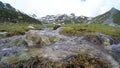 Little stream flowing in idyllic uncontaminated environment