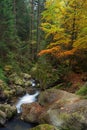 Little stream through the forest in Bodenmais, Bavaria Germany,