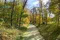 A little stream at Veltrusy. Czech Republic. Royalty Free Stock Photo