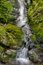 A little stream of water running down a slope - Dickson Falls, Fundy National Park, New Brunswick, Canada - travel destination
