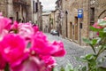 Little street in Orvieto, Italy, Toscana Royalty Free Stock Photo
