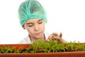 Little student checking new plants Royalty Free Stock Photo