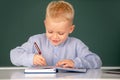 Little student child studying in classroom at elementary school. Pupil near chalkboard during lesson at primary school Royalty Free Stock Photo